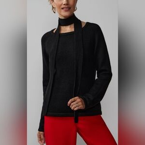 NY & Company Raglan Sleeve Detachable Scarf Sweater